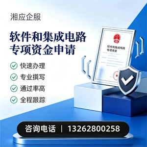 湖州软件和集成电路专项资金申报服务