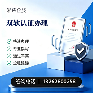 湖州双软认证申报服务