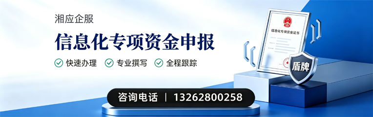 湖州信息化专项资金申报服务