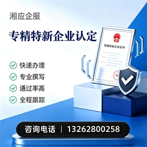 湖州专精特新企业申报服务