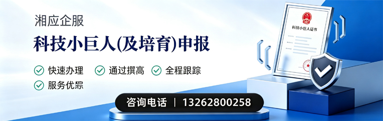 湖州科技小巨人及培育企业申报服务