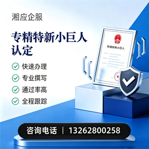 湖州专精特新小巨人申报服务