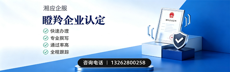 湖州瞪羚企业认定申报服务