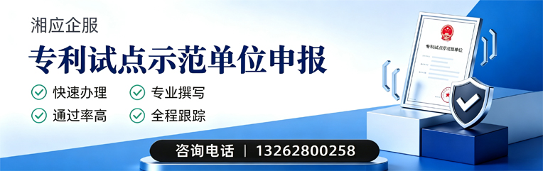 湖州专利试点示范单位申报服务