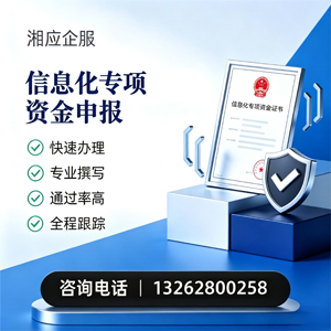 湖州信息化专项资金申报服务