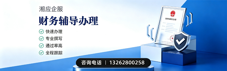 湖州财务辅导申请服务