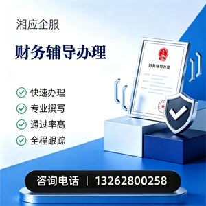 湖州财务辅导申请服务