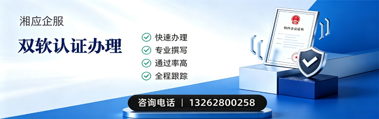 湖州双软认证申报服务