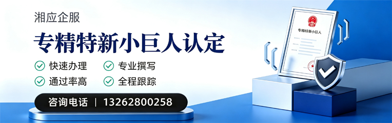 湖州专精特新小巨人申报服务